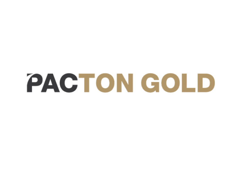 DigiGeoData - Sponsors 284 DigiGeoData - PactonGold logo
