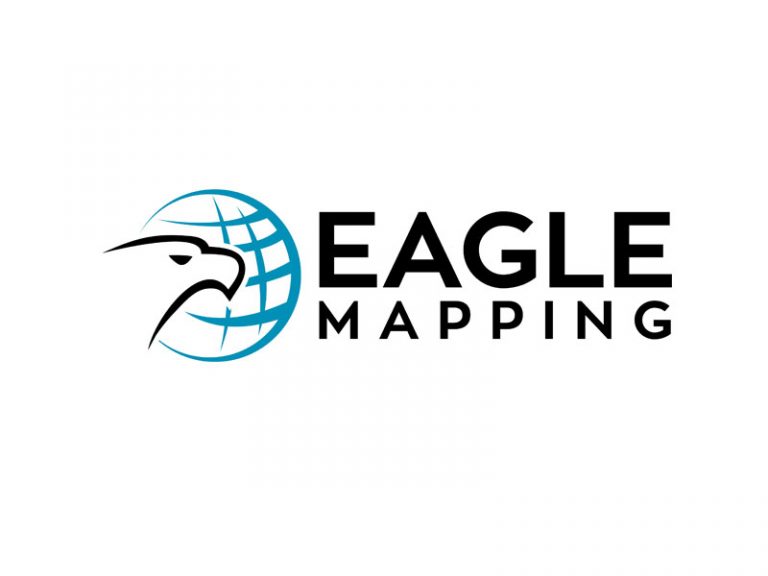 DigiGeoData - eagle logo