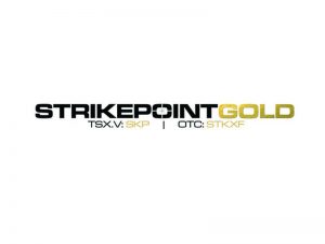 DigiGeoData - strikepoint logo