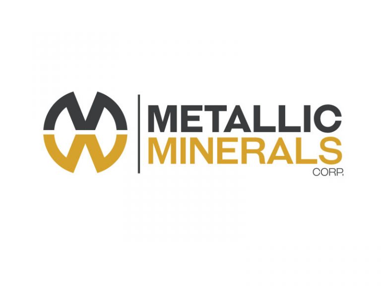 DigiGeoData - Sponsors 238 DigiGeoData - metallic logo