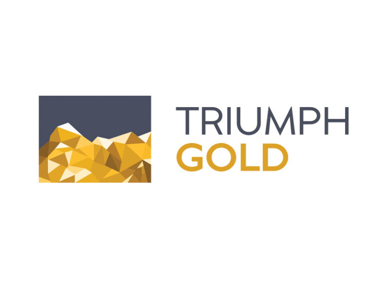 DigiGeoData - Sponsors 390 DigiGeoData - triumph logo