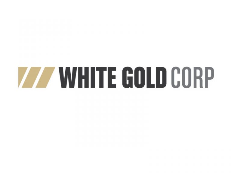 DigiGeoData - white gold logo