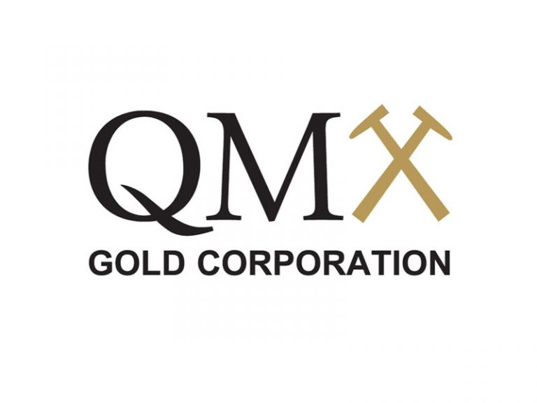 DigiGeoData - QMX logo