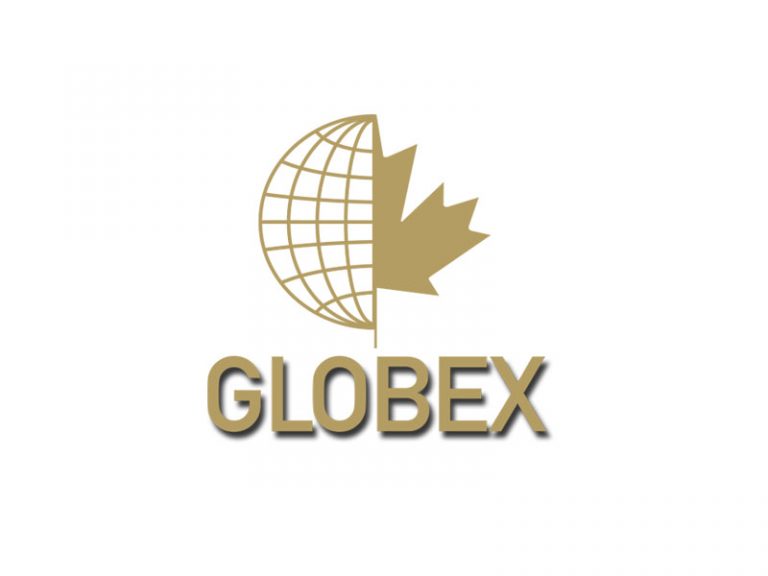 DigiGeoData - globex logo