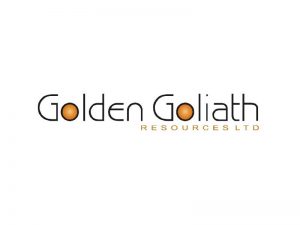 DigiGeoData - golden goliath logo