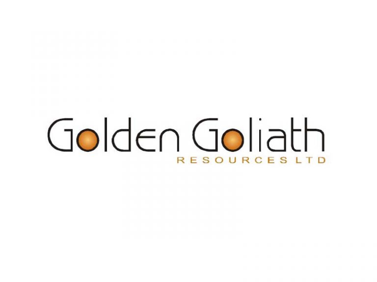 DigiGeoData - Sponsors 161 DigiGeoData - golden goliath logo