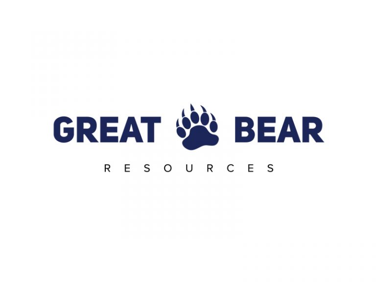 DigiGeoData - great bear logo