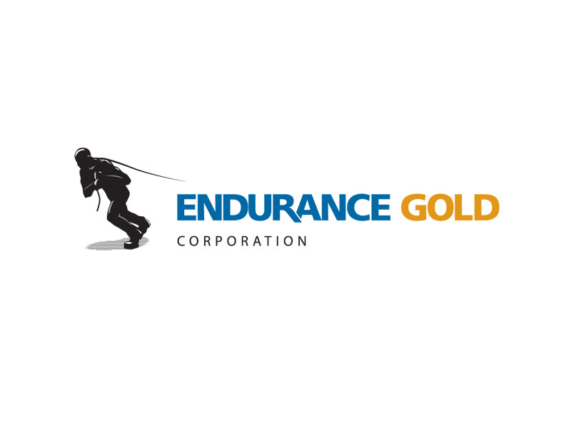 DigiGeoData - endurance logo