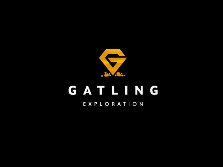 DigiGeoData - gatling logo