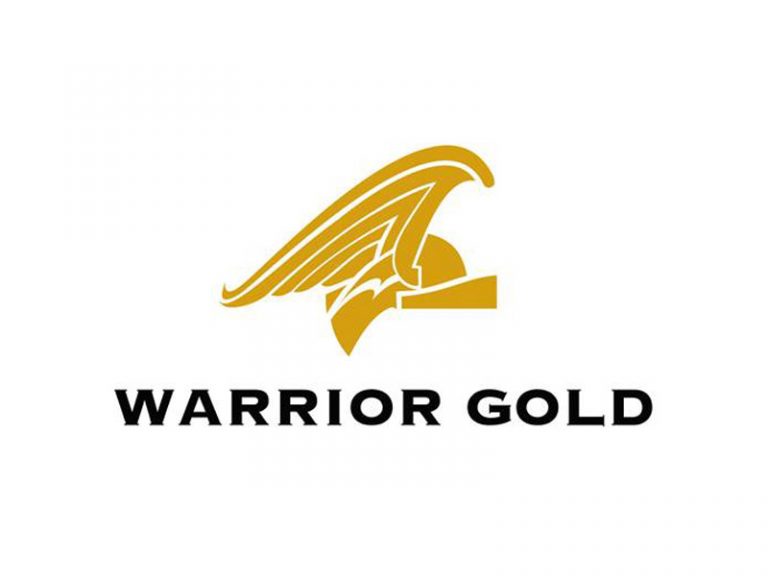 DigiGeoData - warrior logo 1