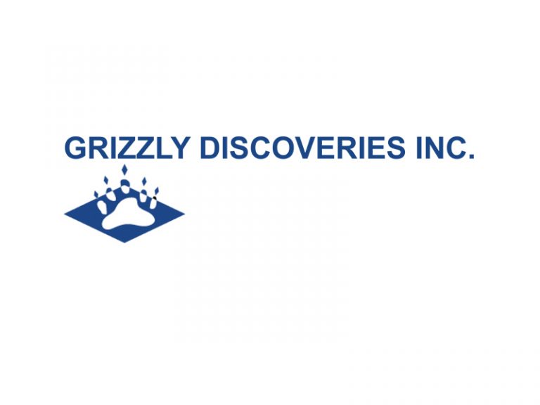 DigiGeoData - Sponsors 186 DigiGeoData - grizzly logo