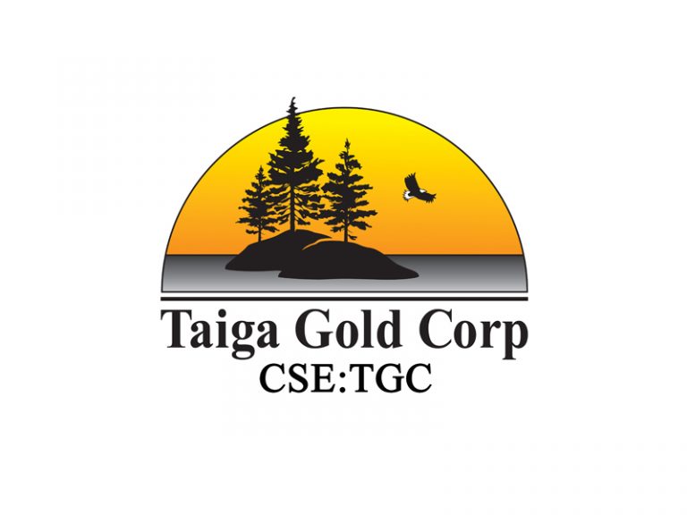 DigiGeoData - Sponsors 308 DigiGeoData - taigo logo