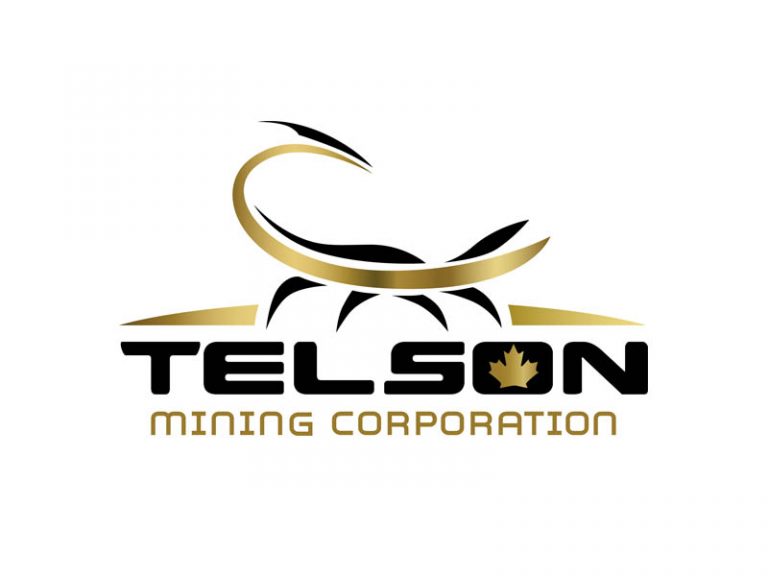 DigiGeoData - Sponsors 381 DigiGeoData - telson logo