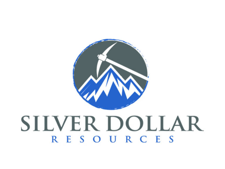 DigiGeoData - Silver Dollar Logo