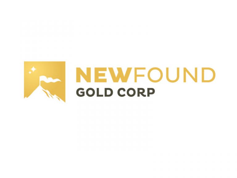 DigiGeoData - Sponsors 255 DigiGeoData - new found gold logo