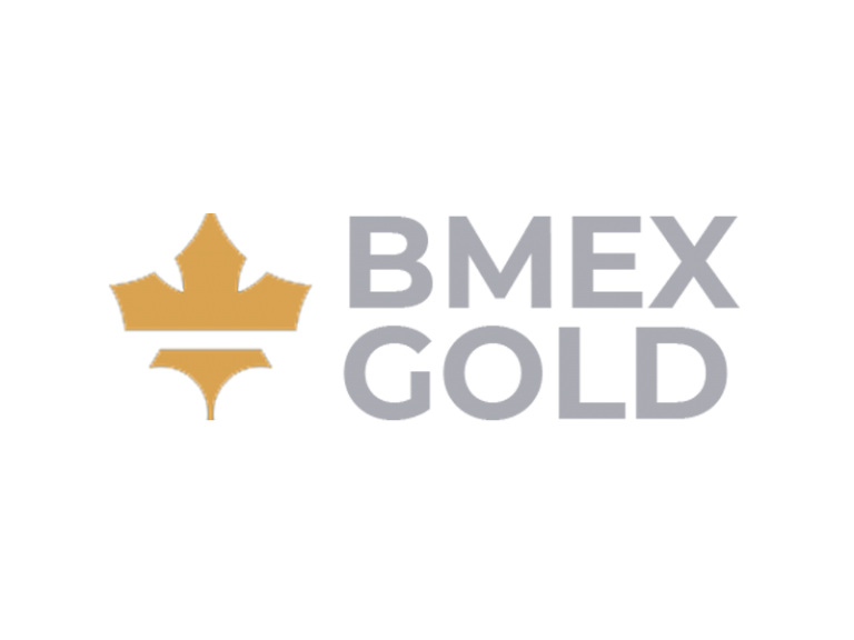 DigiGeoData - Sponsors 50 DigiGeoData - bmex logo