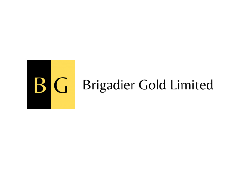 DigiGeoData - Sponsors 55 DigiGeoData - brigadier logo