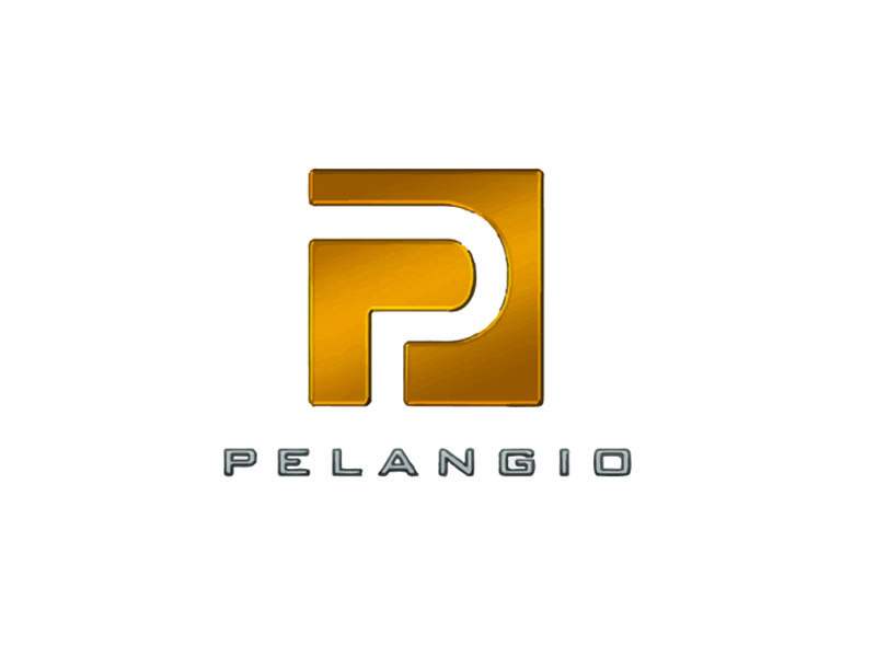 DigiGeoData - pelangio logo