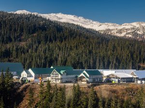 Skeena Resources