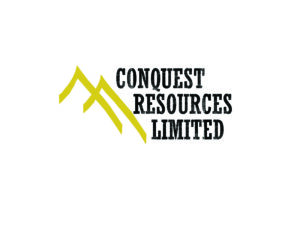 DigiGeoData - conquest logo