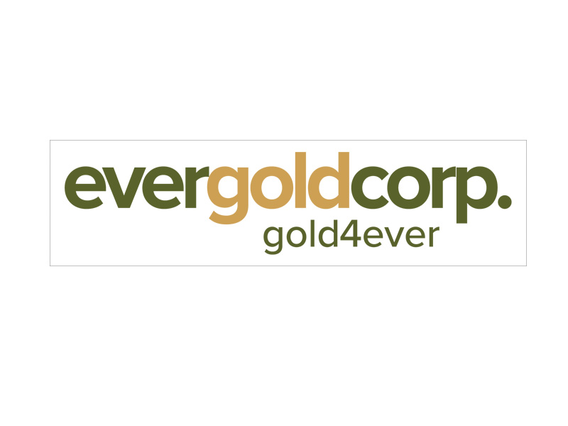 DigiGeoData - evergold logo box 1