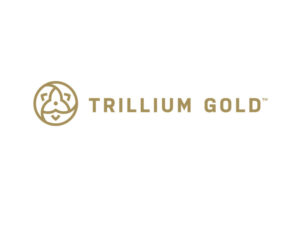 DigiGeoData - trillium logo