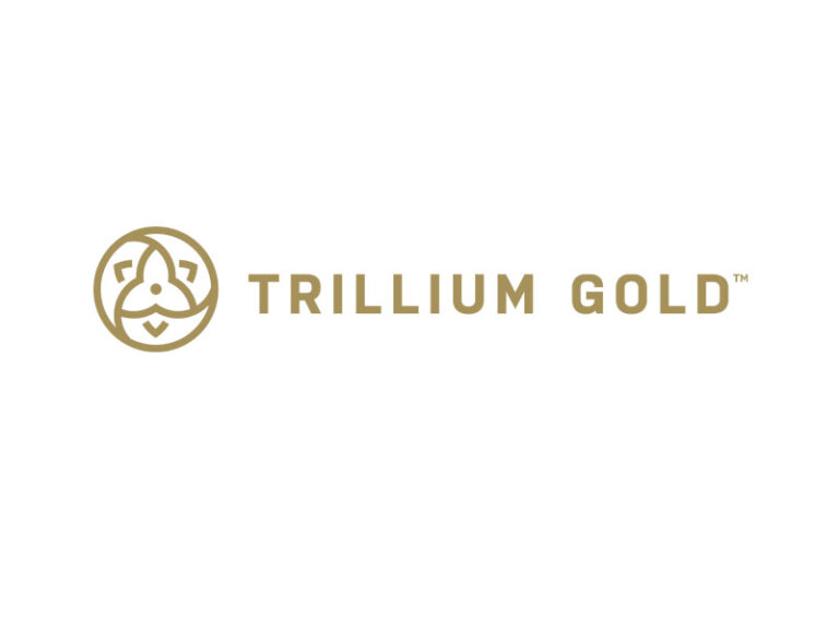 DigiGeoData - Sponsors 388 DigiGeoData - trillium logo