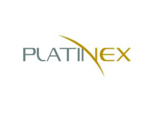 DigiGeoData - platinex logo