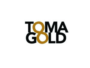 DigiGeoData - tomagold logo