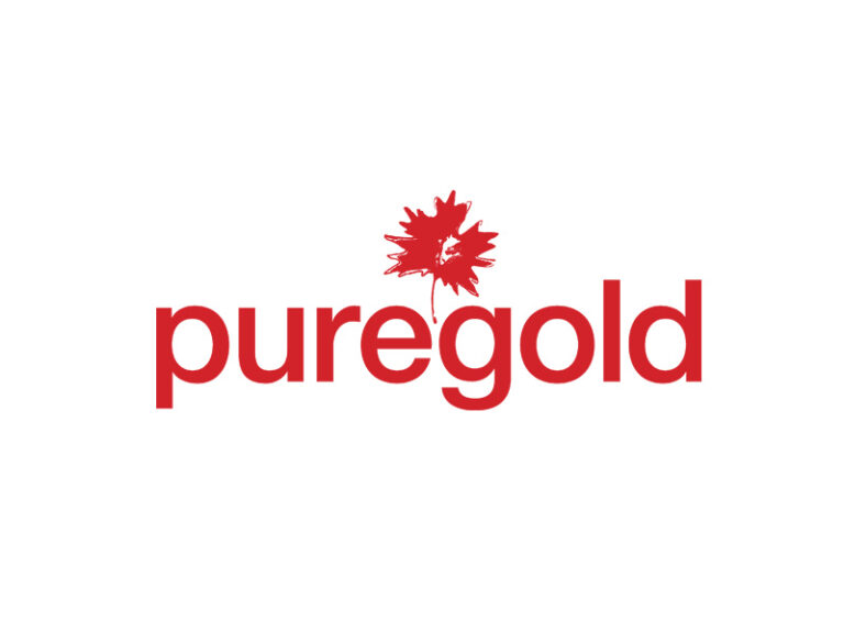 DigiGeoData - puregold logo
