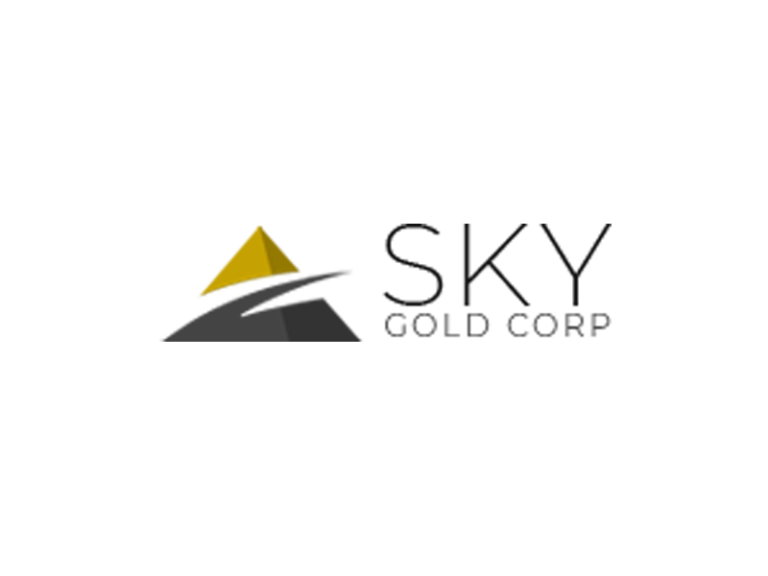 DigiGeoData - sky gold logo