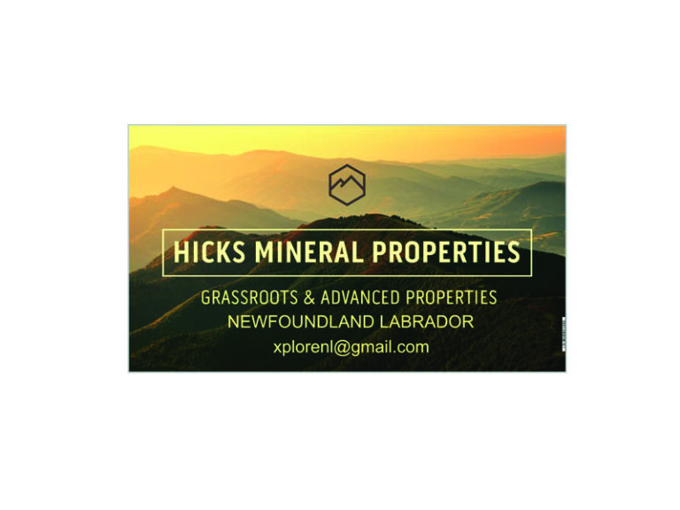 DigiGeoData - Sponsors 195 Hicks Mineral