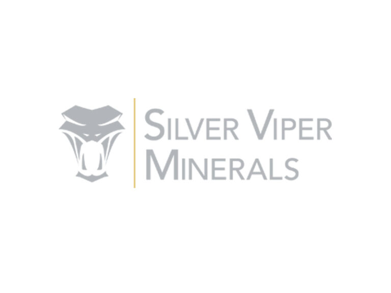 DigiGeoData - Silver Viper Minerals Logo