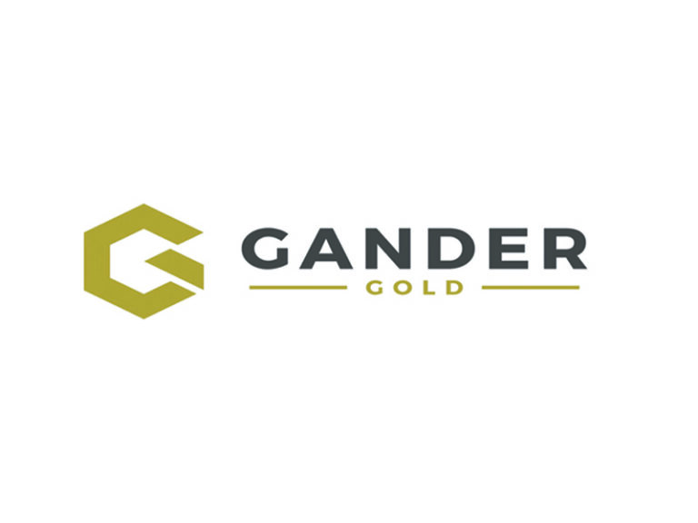 DigiGeoData - Sponsors 139 Gander Gold