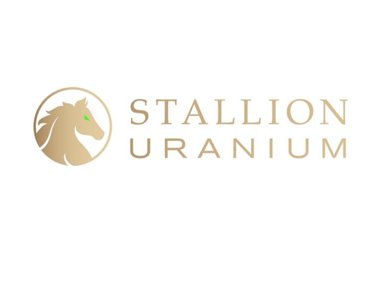 Stallion Discoveries